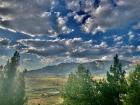 A view of the mighty mountains beyond the trees and vinyards in La Rioja