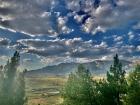 A view of the mighty mountains beyond the trees and vinyards in La Rioja