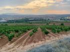 The sun setting behind the famous vineyards of northern Spain