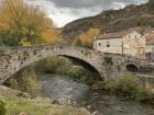 Trees prepare to lose their leaves as winter approaches in Torrecilla 