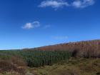 There are a lot of trees and beautiful open spaces in La Rioja