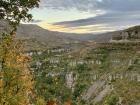 A canyon filled with fall colors!