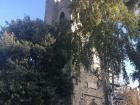 This church had a lovely yard to read in when it was warmer