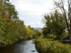 I'll miss Ireland's emerald landscapes, especially when I return to a grey East Coast winter