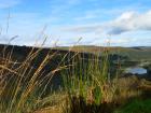 A magical Irish landscape