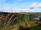 A magical Irish landscape