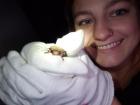 I love bats!