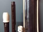 This a picture of the type of recorder used in the class-- it has a case and can be disassembled.