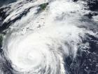 This is a satellite image of Super Typhoon Hagibis (equivalent to Category 5 hurricane), which covered the whole of Japan and hit Akita the day I went to the Fox Parade