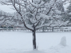 It snowed more after this, but this is my best picture showing how deep the snow got (it definitely got taller than my snow boots in most places)