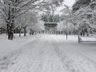 This is one of the main walkways on campus; you can see the ice starting to show under the snow