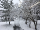 This is a smaller walkway showing the snow and the trees