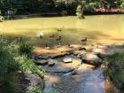 The arboretum in my hometown of Harrisonburg, Virginia