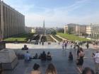 Gardens like this one in Brussels called the Mont des Arts (Hill of the Arts) are great places for bees