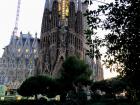 Trees in front of the Sagrada Família