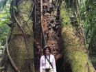 I found a giant tree on my hike in the jungle