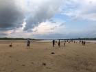 Beach along the Amazon River