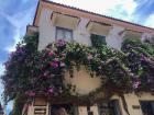 A beautiful bougainvillea plant taking over the outside of this house!