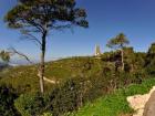 Mount Carmel National Park provides the perfect habitat for wild boar