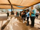 Our professor Izzy explained how the crushing mill worked to make olive oil