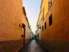 Street view in La Laguna