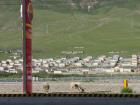 Seeing livestock at the local gas station is pretty normal here in Yushu. 