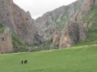 The health of the local ecosystem is very important for Tibetan livelihoods. 