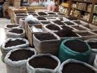 While walking around Beijing I stumbled into a tea warehouse. Those bags are all filled with tea leaves! Hot tea is a very popular drink here. 