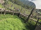 Bamboo bridge created by local residents 