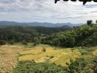 Farmland belonging to a  hill tribe 