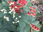 Fruits on banana leaves 