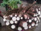 Cassava root (Credit: Google Images)