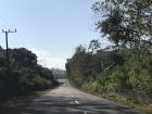 Road to Kolono Bay where I worked last week