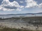 Kolono bay at low tide