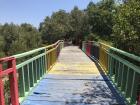 Painted boardwalk in Bungkutoko mangrove forest