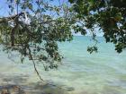 Nothing stands between you and the bay... besides some mangrove trees and curious geckos