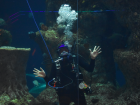 I love love love to scuba dive, and if I had a super power, it would definitely be to breathe under water! 