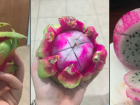 Pitahaya (dragon fruit) is an out-of-this-world snack both in appearance and in taste
