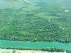 A view of the mangrove systems in Belize from above... can you spot any differences between the side of the river with the road and the side without? 
