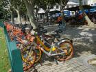 Ride-Sharing bikes parked on campus