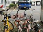 Here are three ride-sharing bikes parked and one personal bike, can you spot the regular bike?