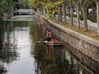 Scooping up leaves in the river