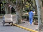 City worker sweeps up leaves 