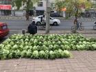 Cabbage on the sidewalk