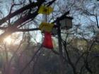 A bird feeder in the park helps the birds prepare for winter