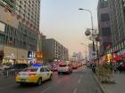 This is a normal street in Shenyang and, as you can see, there are not many plants or animals