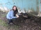 Me: "How are you going S'arvo? (how are you this afternoon?)" Wallaby: "I'm hungry. Cheers, mate! (thanks, friend!)"