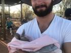 Look at those cute little ears sticking out. Kangaroos have excellent hearing and can swivel their ears in all directions to pick up on sounds.