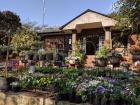 Sadly, I could not stay long in this beautiful garden because of the heat