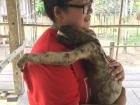 Hugging Maria, the sloth, in the jungle 
